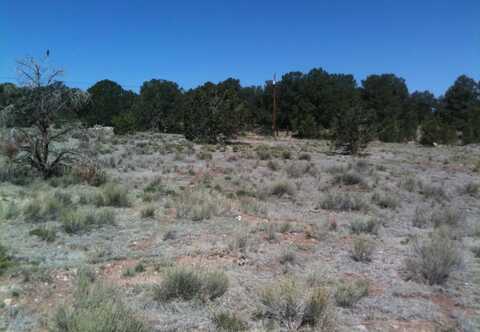 NM Highway 612, Thoreau, NM 87323