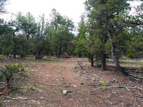 Blue water, Bluewater, NM 87005