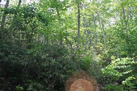 42 HIGH VALLEY SOUTH, MONTEREY, VA 24465