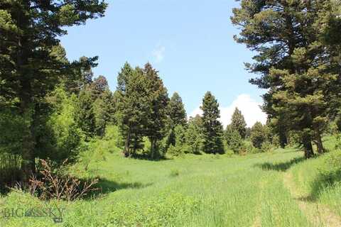 14815 Pony Creek, Bozeman, MT 59715