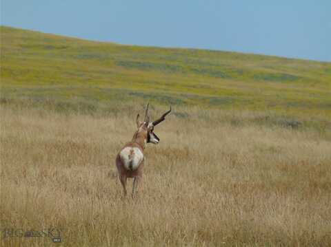 Tbd Wilder Trail, Lewistown, MT 59457
