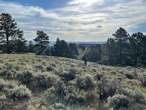 Nhn Olde English Road, Ferdig, MT 82646