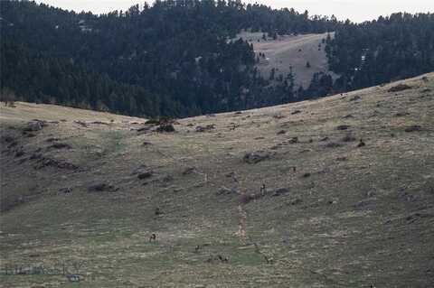 Tbd Livingston Peak Road, Livingston, MT 59047