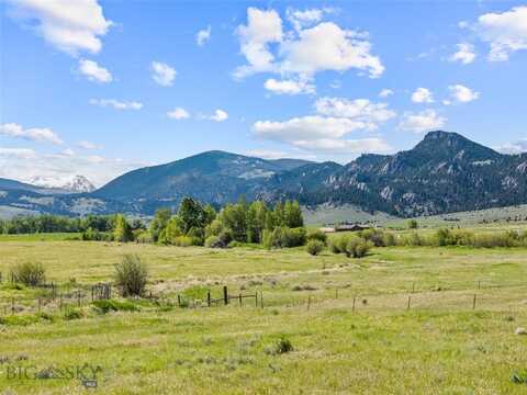 Parcel 87b Shining Mountains West, McAllister, MT 59740