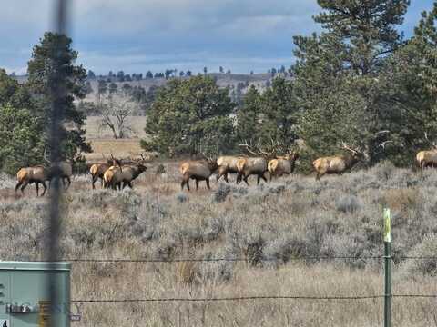 Tbd 147A, Hardin, MT 59024