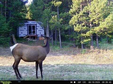 Tbd Ottawa Gulch Road, Marysville, MT 59640