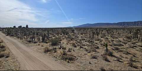 22000 E Avenue X, Llano, CA 93544