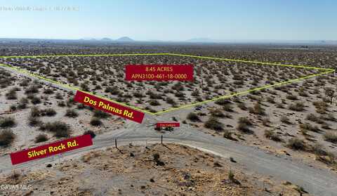 Dos Palmas Rd., Pinon Hills, CA 92372
