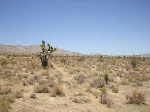120 NW Trotter St Street, Rosamond, CA 93560