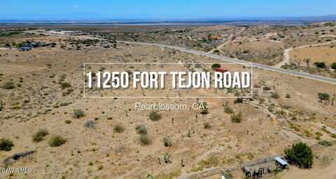 11250 E Fort Tejon Road, Pearblossom, CA 93553