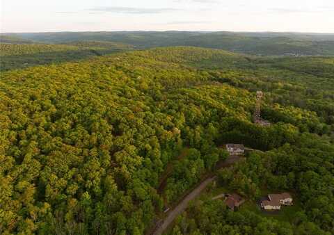 1309 Holly Hill Road, VESTAL, NY 13850