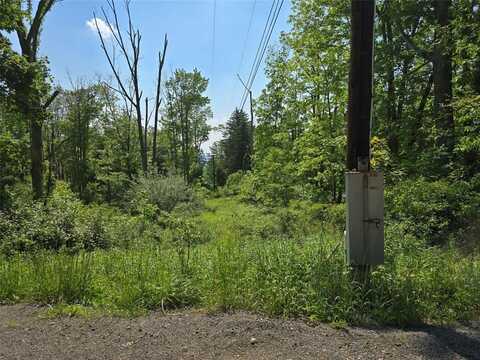0 Campville & Cafferty, OWEGO, NY 13760