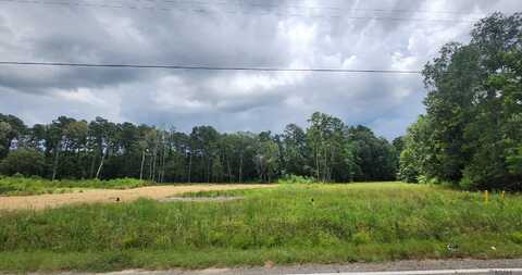 30416 Cane Market Rd, Walker, LA 70785