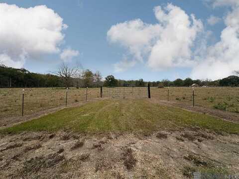 45538 Doc Ln, Saint Amant, LA 70774