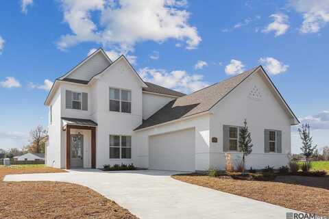 36265 Belle Parc Ave, Geismar, LA 70734