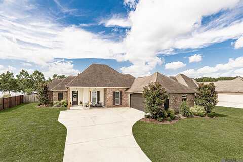12440 Three Lakes Dr, Walker, LA 70785