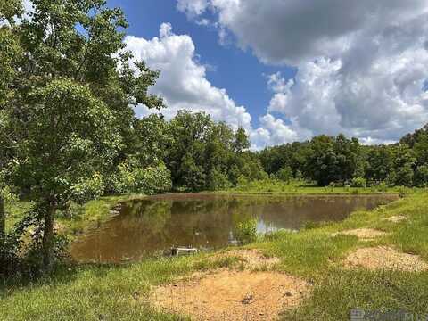 Loy Y-3 Old Norwood Wilson Rd, Wilson, LA 70789