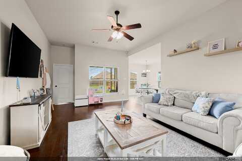 42406 Tigers Eye Stone Ave, Prairieville, LA 70769