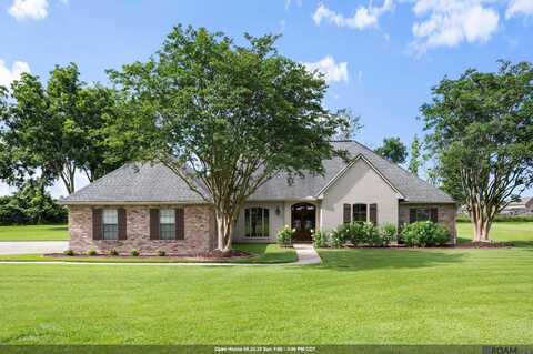 36321 C Braud Rd, Prairieville, LA 70769
