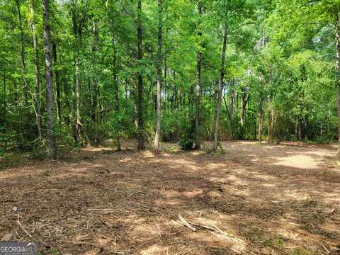 2200 Rest Haven, Yatesville, GA 31097