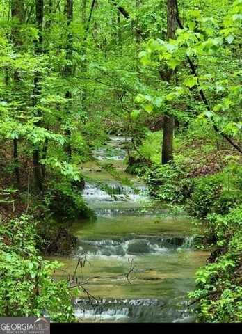 2 Brushy Mountain, Rockmart, GA 30153