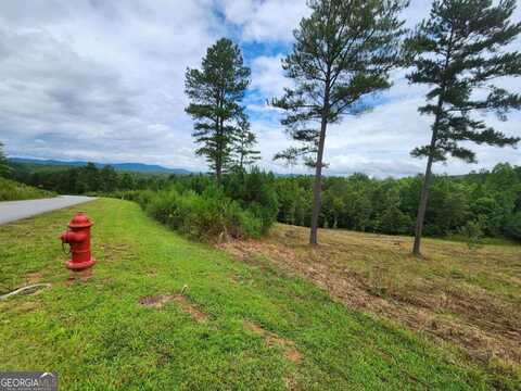 L231 Ridge Point, Blairsville, GA 30512