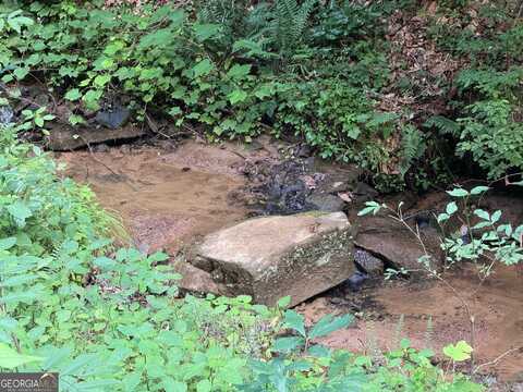 604 Nugget, Ellijay, GA 30540