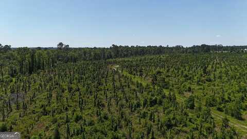 0 Deer Run, Vidalia, GA 30474