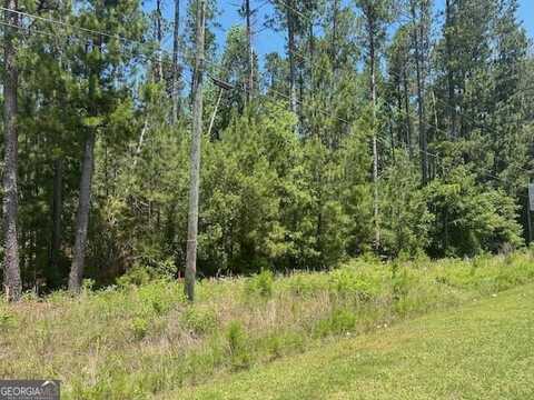 Lot 3 Matthews, Tennille, GA 31089