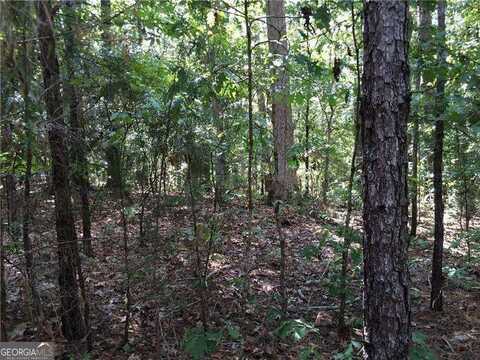 2900 NE TERRACE RIDGE, Conyers, GA 30012