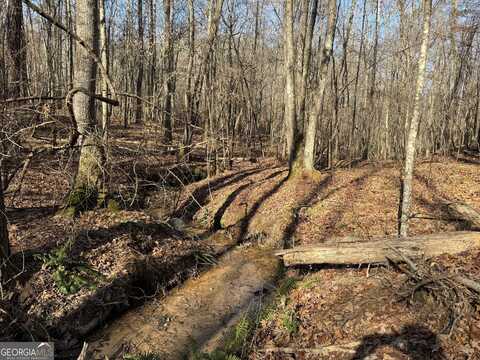 Lot 15 Indigo Trail, Newnan, GA 30263