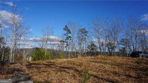 0 Muscadine, Chatsworth, GA 30705