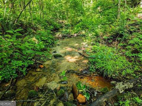 144 St Andrews, Ellijay, GA 30536