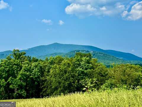 26 Ridgemont, Ellijay, GA 30536