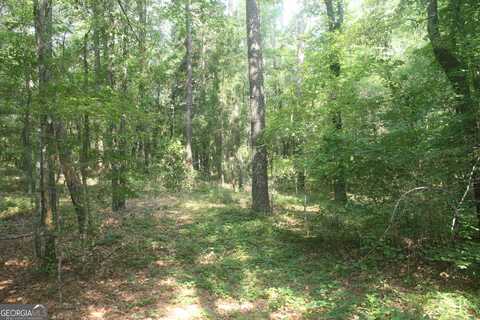 176 Seagull, Cochran, GA 31014