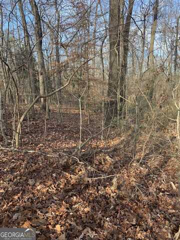 0 S Tanglewood, Royston, GA 30662