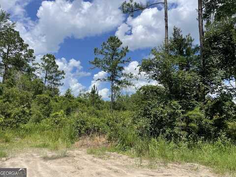 633 Sams, Hortense, GA 31543