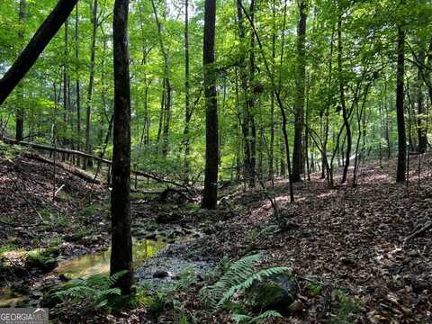 3.52 Ac Payne, Blairsville, GA 30512