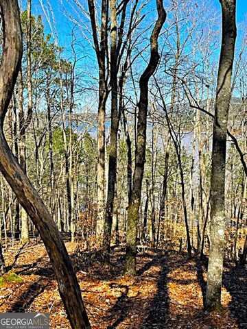 0 Carters Overlook, Chatsworth, GA 30705
