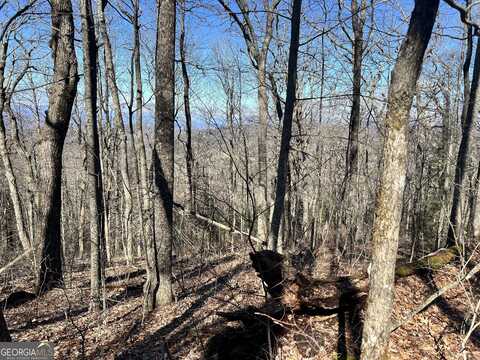 (0) Knob Drive, Sky Valley, GA 30537