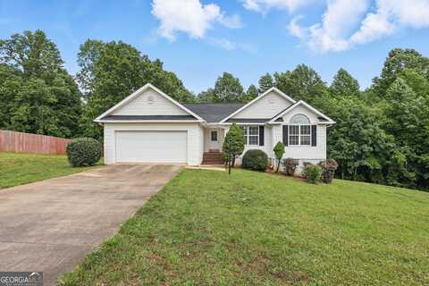 199 Rocky Shoals, Mount Airy, GA 30563
