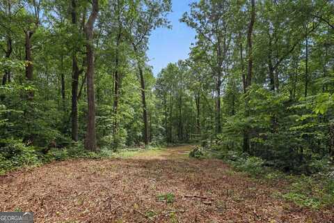 1323 Seven Forks, Martin, GA 30557