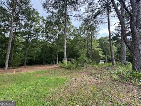 164 Holiday, Franklin, GA 30217