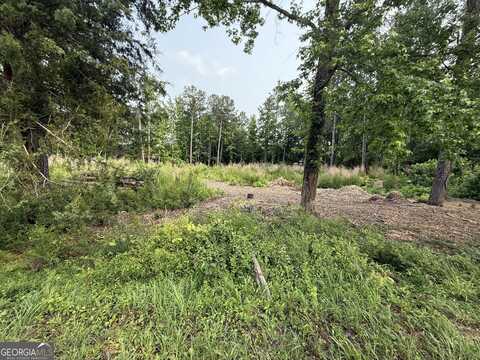 91 Holly Grove, Griffin, GA 30224