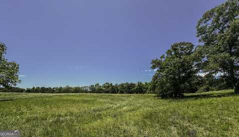 0 Farmer, Roopville, GA 30170