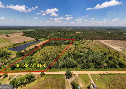 Lot #1 - 6.2 Ac Perry Horton, Adrian, GA 31002