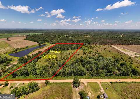 Lot #1 - 6.5 Ac Perry Horton, Adrian, GA 31002