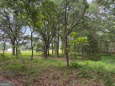 92 Holiday, Franklin, GA 30217