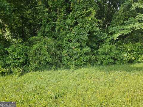 12109 Brown Bridge, Covington, GA 30016
