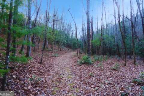 Lt 23 Shelton Springs S/D, Hayesville, NC 28904
